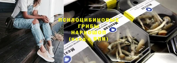 мескалин Алексин