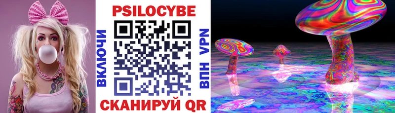 как найти закладки  Алушта  Галлюциногенные грибы MAGIC MUSHROOMS 